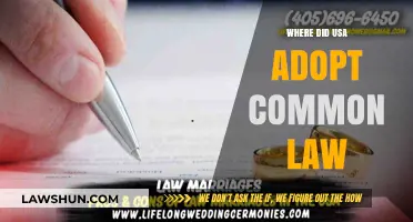 The US Adoption of Common Law: A Historical Overview