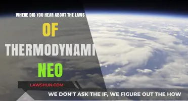 Neo's Thermodynamics Journey: Unraveling the Laws' Origins and Impact