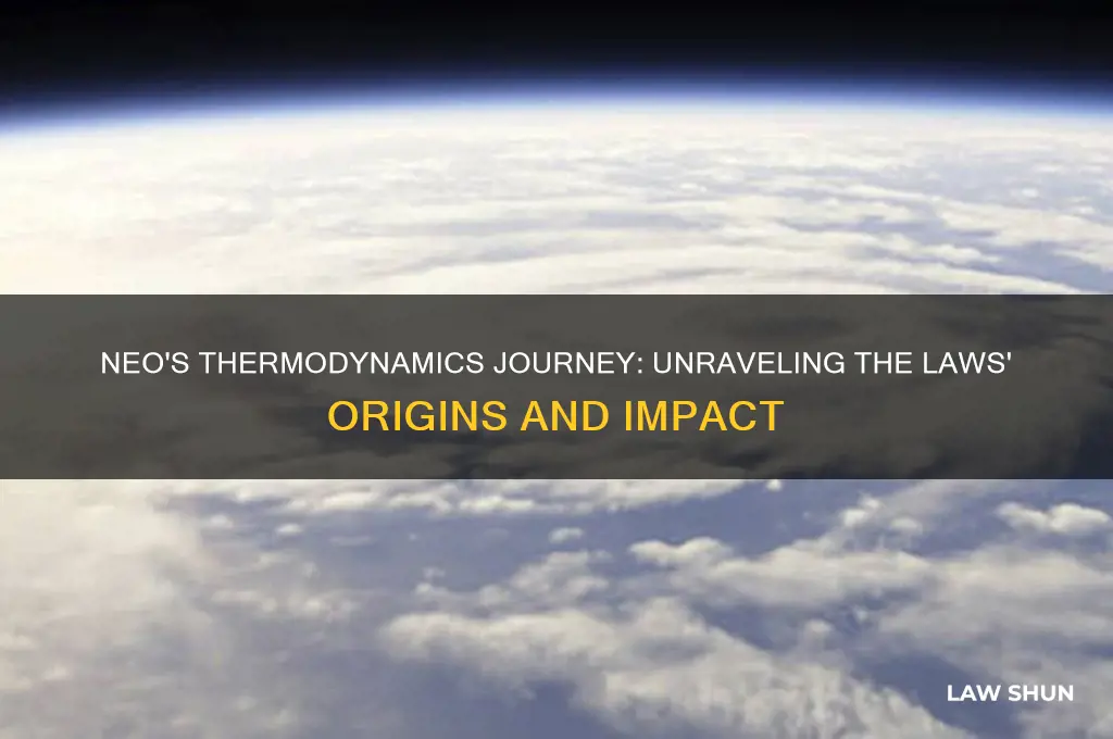 where did you hear about the laws of thermodynamics neo