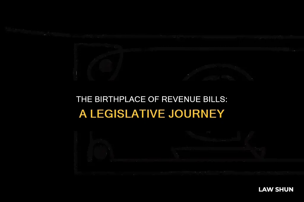 where do all revenue bills originate