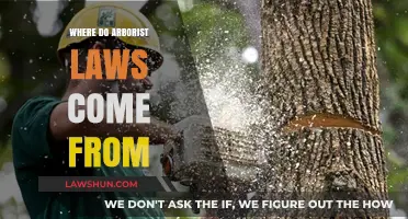 Understanding the Origins of Arborist Laws: A Historical Overview