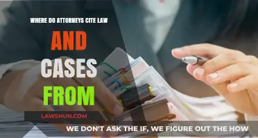Citing Law: Where Do Attorneys Source Cases?