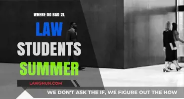 Summer Options for Struggling 2L Law Students: Where to Go?