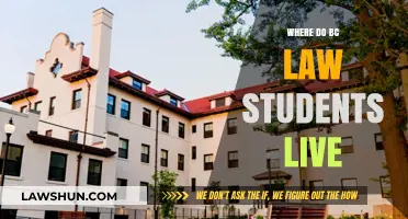 Where Do BC Law Students Live? Housing Options Explored