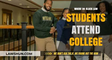 Top Colleges for Black Law Students: A Comprehensive Guide