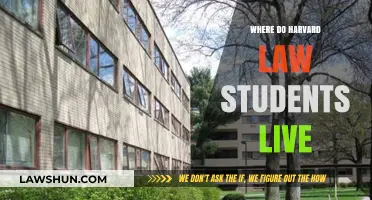 Where Harvard Law Students Live: Housing Options and Neighborhoods