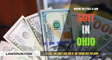 Where to File a Lawsuit in Ohio: A Step-by-Step Guide