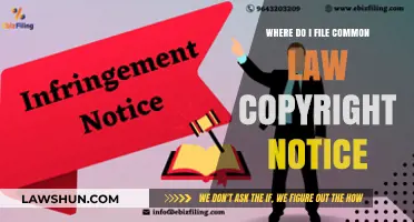 Copyright Notice: Where to File for Common Law Protection