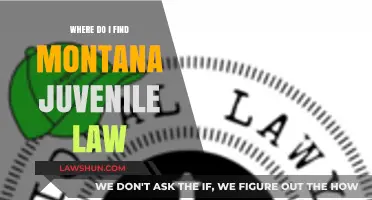 Navigating Montana Juvenile Law: Essential Resources and Guidance for Families