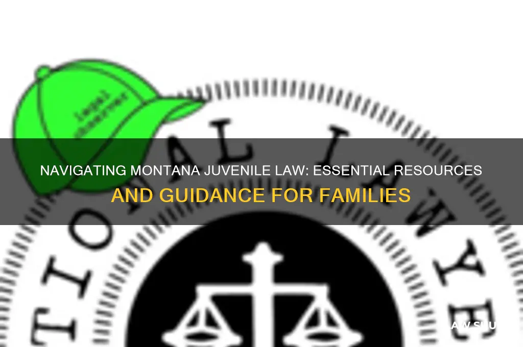 where do i find montana juvenile law