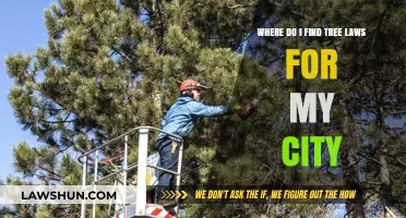 Navigating Local Tree Laws: A Guide to Finding City Regulations