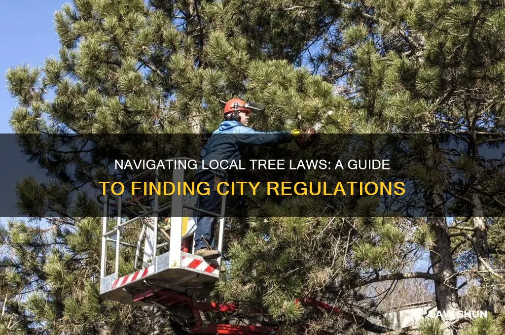where do i find tree laws for my city