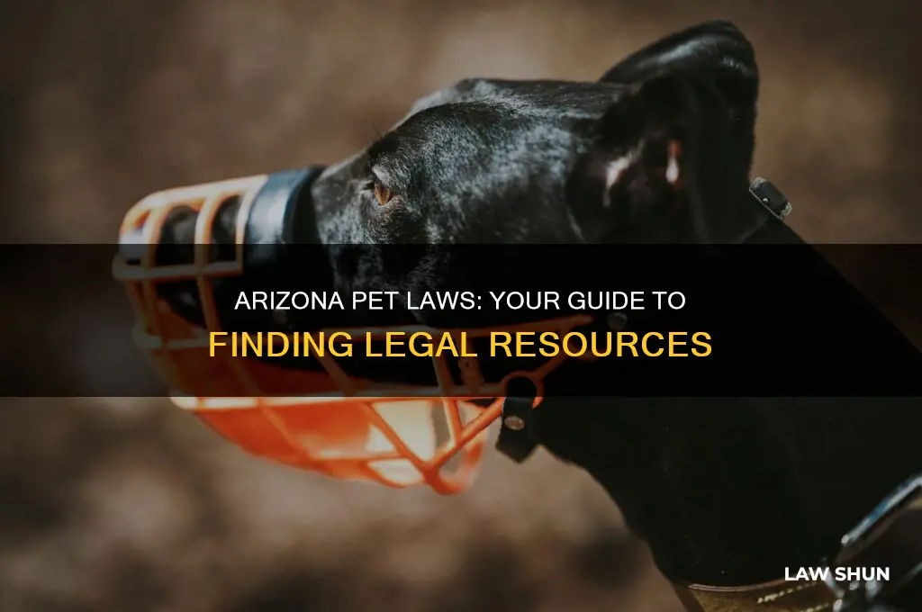 where do i go for the pet laws in arizona
