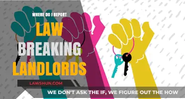 Exposing Landlord Misconduct: Where to Report Law-Breaking Landlords