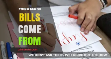 Unveiling the Origins: Where Do Ideas for Bills Come From?