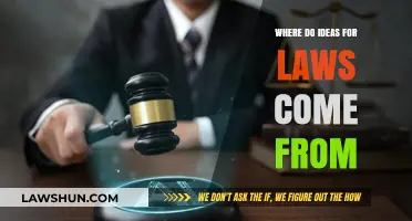 Origins of Legislation: Unveiling the Sources of Legal Ideas