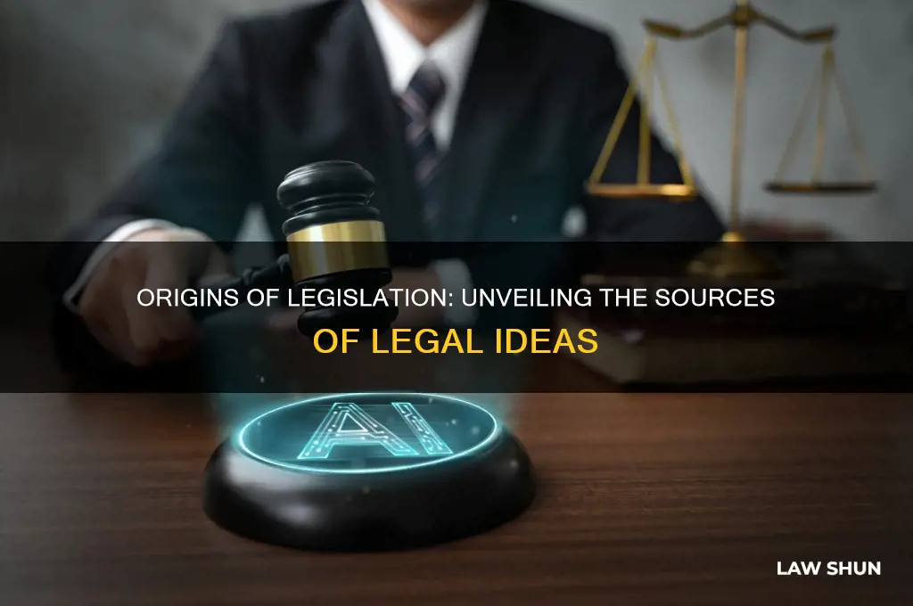where do ideas for laws come from