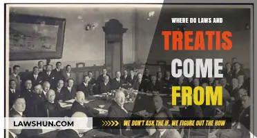 Origins of Laws and Treaties: A Historical and Legal Journey