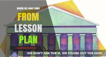 Exploring the Origins of Laws: A Comprehensive Lesson Plan Guide