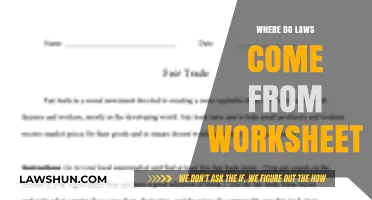 Exploring the Origins of Laws: A Comprehensive Worksheet Guide