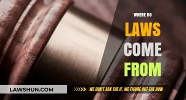 Origins of Legislation: Tracing the Sources of Our Legal Framework