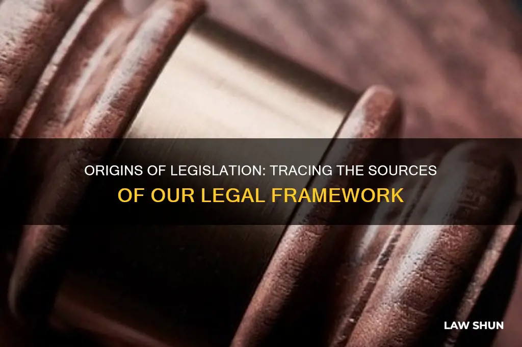 where do laws come from