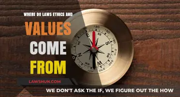Origins of Laws, Ethics, and Values: A Comprehensive Exploration
