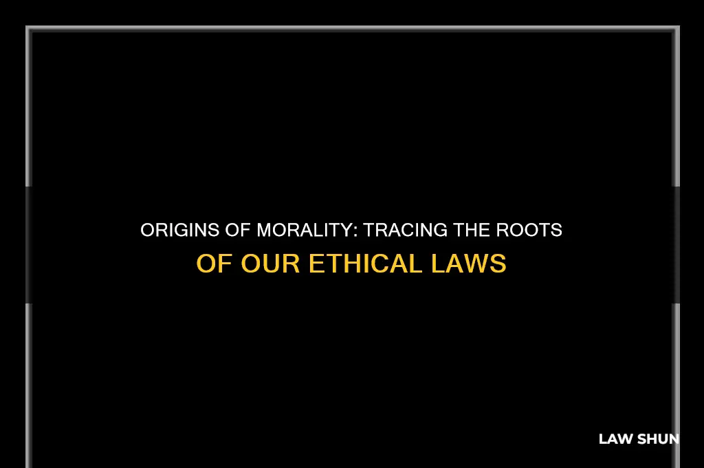 where do most of our moral laws come from