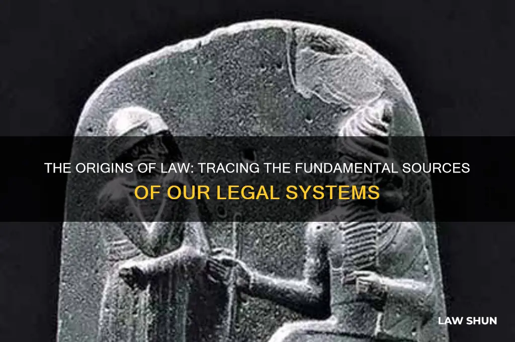 where do our laws come from fundamentally