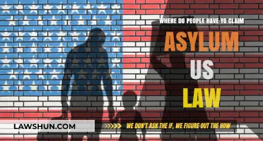 Understanding Asylum Claims: Where and How to Seek Protection Under U.S. Law