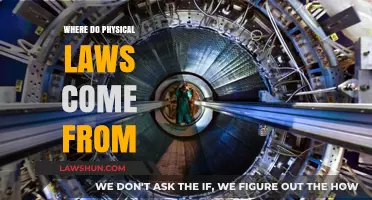 Unveiling the Origins of Physical Laws: A Journey into Nature's Blueprint