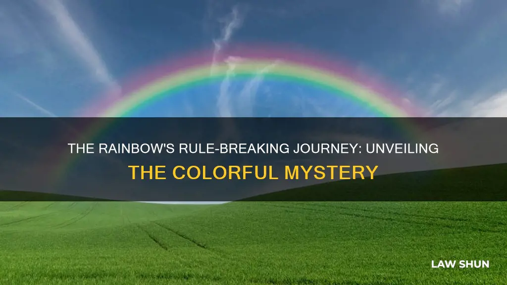 where do rainbows go when they break the law