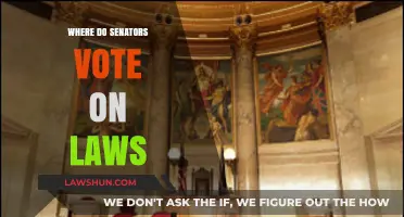 Where Do Senators Vote on Laws? Unveiling the Legislative Process