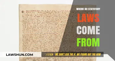 Origins of Statutory Laws: Understanding Their Creation and Sources