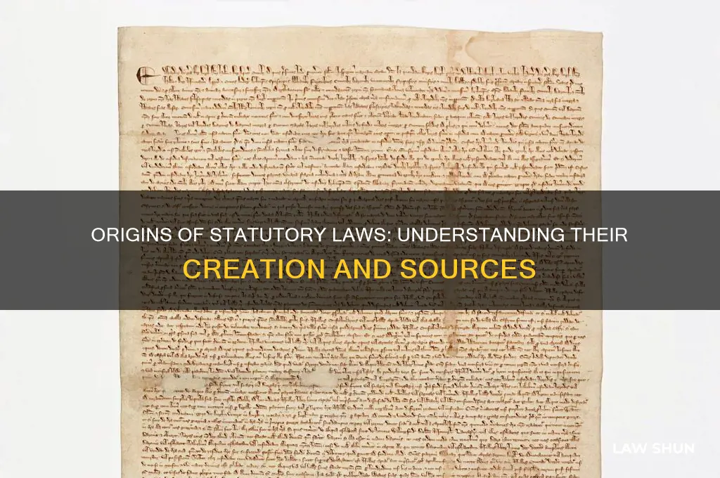 where do statutory laws come from