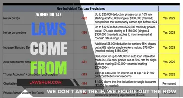 Understanding the Origins of Tax Law