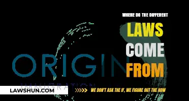 The Evolution of Laws: Origins and Sources