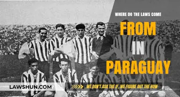 Exploring Paraguay's Legal Origins: A Journey Through Lawmaking Processes