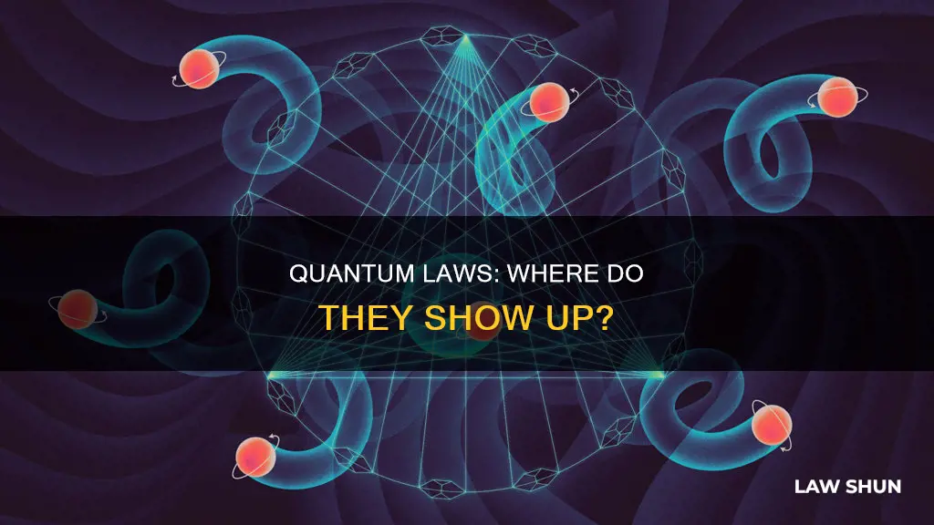 where do the quantum laws become obvious