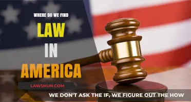 Exploring America's Legal Landscape: Where to Find Law in the U.S