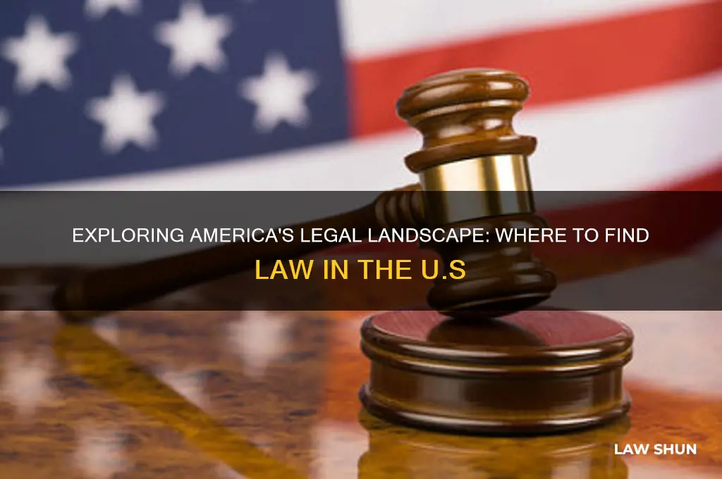 where do we find law in america