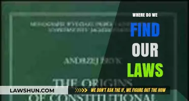 Exploring the Origins: Where Do Our Laws Come From?