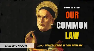 The Evolution of Common Law: Sources and History