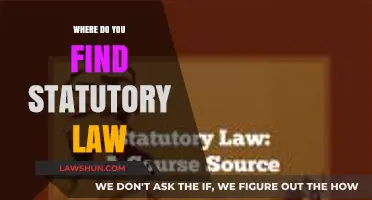 Where to Find Statutory Law: A Comprehensive Guide for Beginners