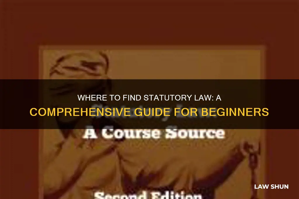 where do you find statutory law