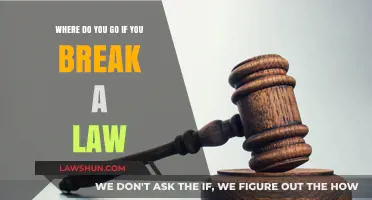 Navigating the Legal Maze: Where to Turn When You Break the Law