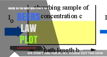 Inputting Wavelength on a Beer's Law Plot: A Step-by-Step Guide