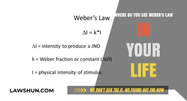 Weber's Law in Action: Everyday Examples of Perceptual Shifts