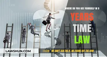 Envisioning Your Legal Career: 5-Year Goals and Growth Strategies