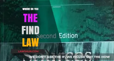 Where to Find Law: Essential Sources and Resources for Legal Research